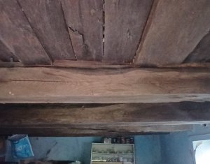 Casa cu teren mare in Salicea