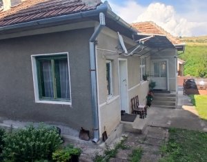 Casa cu teren mare in Salicea