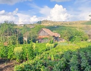 Casa cu teren mare in Salicea