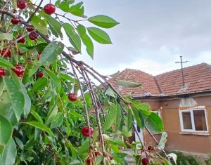 , 75m2 in Dangau Mare, zone Centru