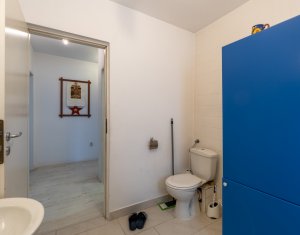 Apartment 3 rooms for rent in Cluj-napoca, zone Andrei Muresanu