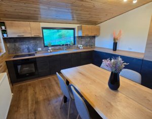Cabană A-Frame Premium – Oază de liniște și investiție sigură la Valea Ierii 