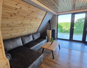 Cabană A-Frame Premium – Oază de liniște și investiție sigură la Valea Ierii 