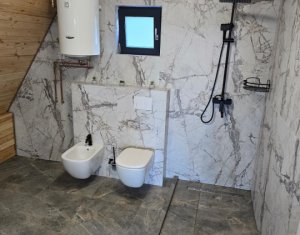 Cabană A-Frame Premium – Oază de liniște și investiție sigură la Valea Ierii 