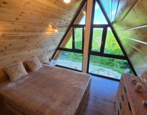 Cabană A-Frame Premium – Oază de liniște și investiție sigură la Valea Ierii 