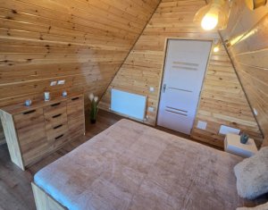 Cabană A-Frame Premium – Oază de liniște și investiție sigură la Valea Ierii 