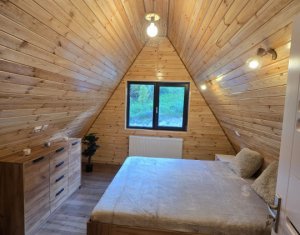 Cabană A-Frame Premium – Oază de liniște și investiție sigură la Valea Ierii 