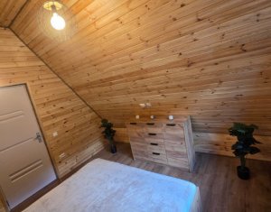 Cabană A-Frame Premium – Oază de liniște și investiție sigură la Valea Ierii 