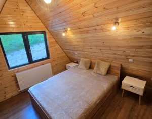 Cabană A-Frame Premium – Oază de liniște și investiție sigură la Valea Ierii 