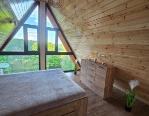 Cabană A-Frame Premium – Oază de liniște și investiție sigură la Valea Ierii 
