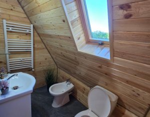 Cabană A-Frame Premium – Oază de liniște și investiție sigură la Valea Ierii 