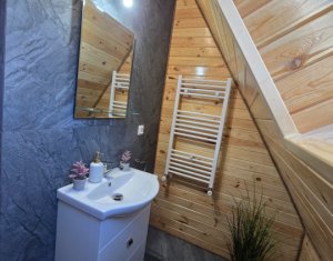 Cabană A-Frame Premium – Oază de liniște și investiție sigură la Valea Ierii 
