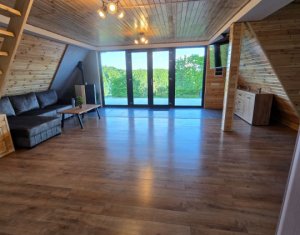 Cabană A-Frame Premium – Oază de liniște și investiție sigură la Valea Ierii 