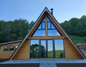 Cabană A-Frame Premium – Oază de liniște și investiție sigură la Valea Ierii 
