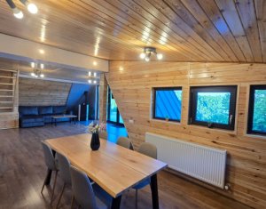 Cabană A-Frame Premium – Oază de liniște și investiție sigură la Valea Ierii 