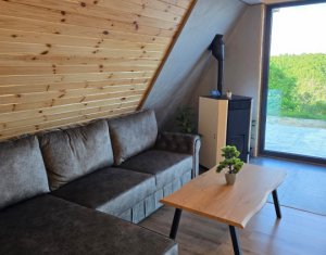 Cabană A-Frame Premium – Oază de liniște și investiție sigură la Valea Ierii 