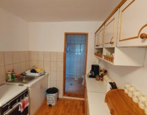 Casa individuala in Belis