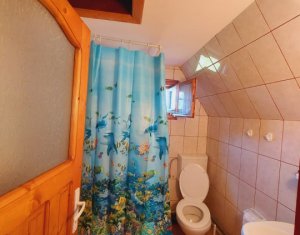 Casa individuala in Belis