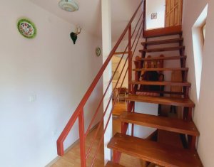 Casa individuala in Belis