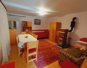 Casa individuala in Belis