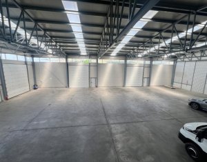 Hala industriala 670mp, birouri, rampe TIR, 5 usi sectionale, nod A3 Gilau