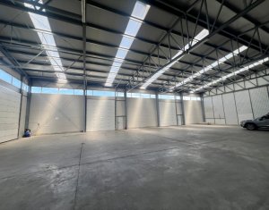 Hala industriala 670mp, birouri, rampe TIR, 5 usi sectionale, nod A3 Gilau