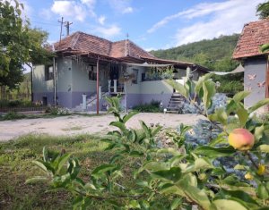 , 62m2 in Badesti