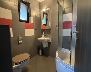 Apartment 3 rooms for rent in Cluj-napoca, zone Intre Lacuri