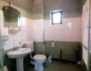House 5 rooms for rent in Cluj-napoca, zone Buna Ziua