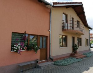 House 5 rooms for rent in Cluj-napoca, zone Buna Ziua