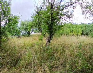 Casa in Manastireni-Cluj, teren generos, apa de la retea si fantana proprie