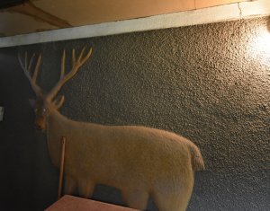 Casa cu utilitati, acces de pe asfalt in Dabaca-Cluj langa cetate