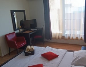 Apartment 1 rooms for rent in Cluj-napoca, zone Borhanci