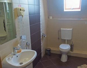 Apartment 1 rooms for rent in Cluj-napoca, zone Borhanci