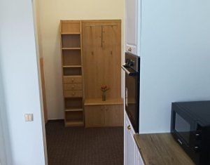 Apartment 1 rooms for rent in Cluj-napoca, zone Borhanci