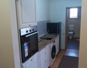 Apartment 1 rooms for rent in Cluj-napoca, zone Borhanci