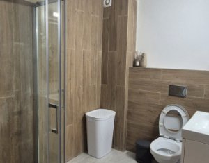 Apartment 1 rooms for rent in Floresti