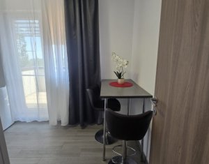 Apartment 2 rooms for rent in Cluj-napoca, zone Buna Ziua