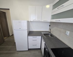 Apartment 2 rooms for rent in Cluj-napoca, zone Buna Ziua