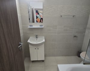 Apartment 2 rooms for rent in Cluj-napoca, zone Buna Ziua