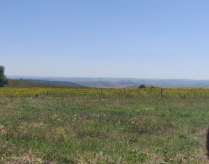 , 2519m2 in Aiton