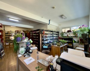 Casă individuală cu potențial rezidențial/comercial – Zona Platinia