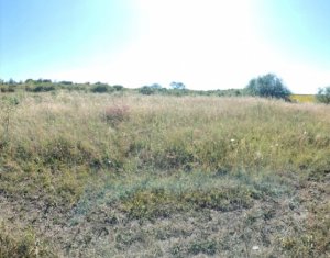 Investitie in natura – 2.900 mp la 16 euro/mp in Macicasu/Chinteni