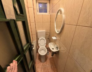 House 4 rooms for rent in Cluj-napoca, zone Andrei Muresanu