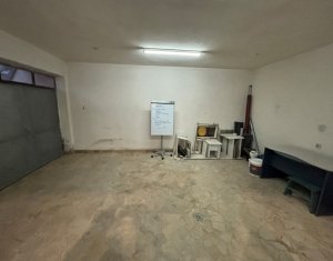 House 4 rooms for rent in Cluj-napoca, zone Andrei Muresanu