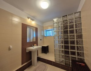 House 5 rooms for rent in Cluj-napoca, zone Dambul Rotund