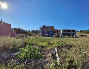 Casa spatioasa, compartimentata eficient, Dambul Rotund