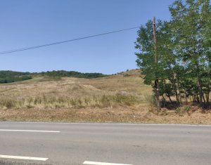 , 11400m2 in Corpadea