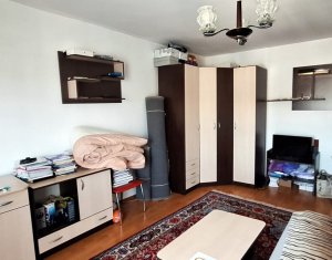Apartment 1 rooms for rent in Cluj-napoca, zone Manastur
