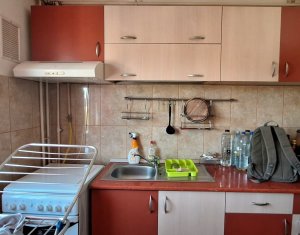 Apartment 1 rooms for rent in Cluj-napoca, zone Manastur